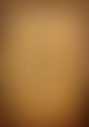 Reglamento disponible