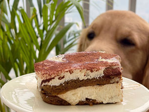 My Easy Boozy Eggless Tiramisu