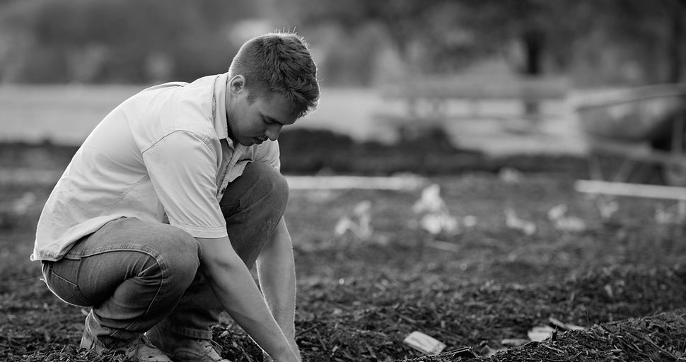 Gardener, in a fall garden. He is planti