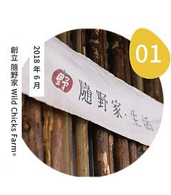隨野家_大記事1.png