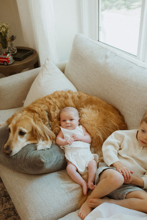 At home Newborn session Los Angeles baby and dog