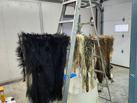Post Harvest Care of your Capes: A Comprehensive Guide