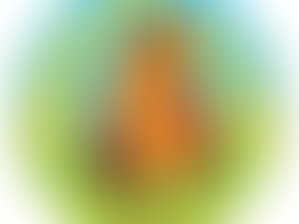 Look who's coming to the Buffalo Fling so far—you could be next!