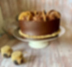 CHOCOLATE BISCUIT CAKE