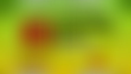 LCH NEWS: COVID-19 recoveries pumalo na sa 63, Quezon PIO reports