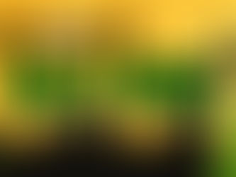 Niyogyugan Festival 2020 Online, Aarangkada na – LCH NEWS