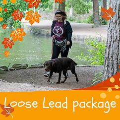 Loose Lead package