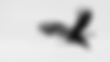 Design ohne Titel (9).png