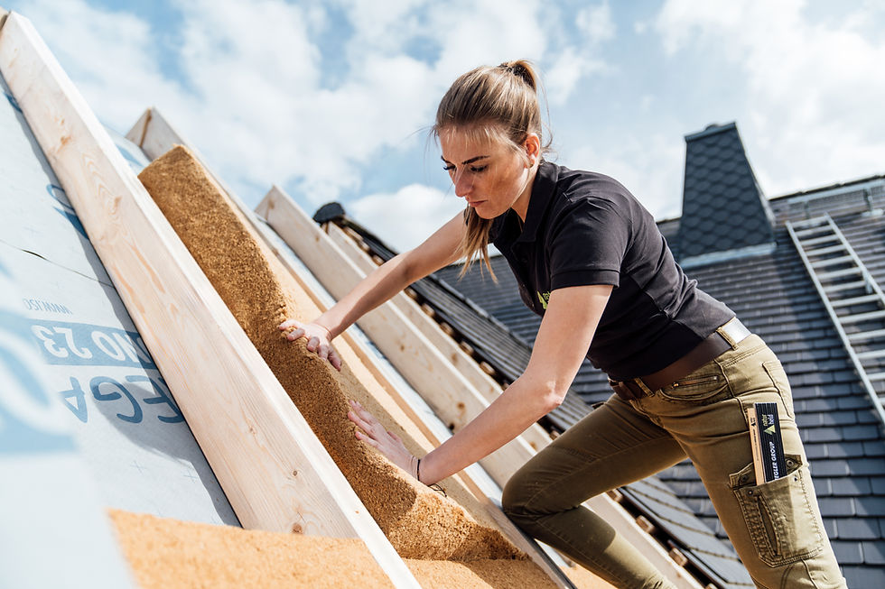 Miniaturbild: Holzfaserdämmplatte