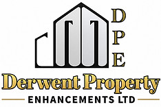 dpe logo_edited.jpg