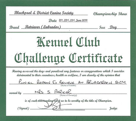 Blackpool | Challenge Certificate