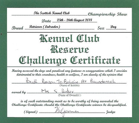 Reserve CC Scottsh Kennel Club.