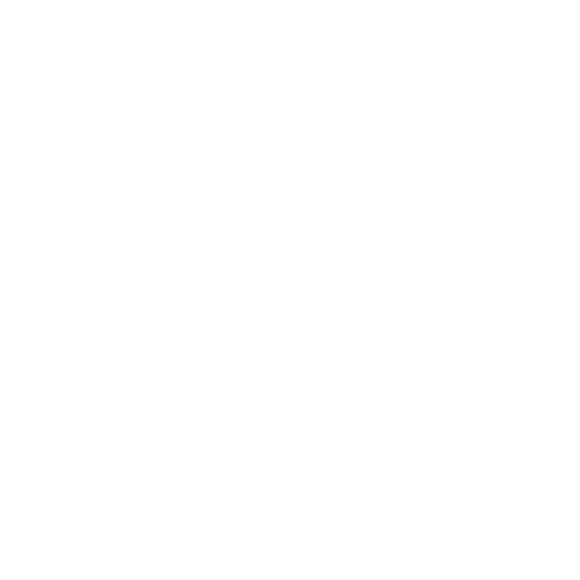 SYM FLAT COLOUR LOGO(WHITE)-01.gif