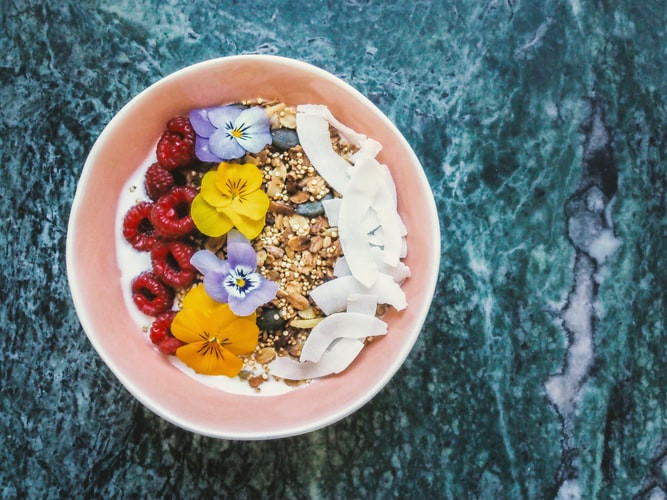 10 influenceurs vegan