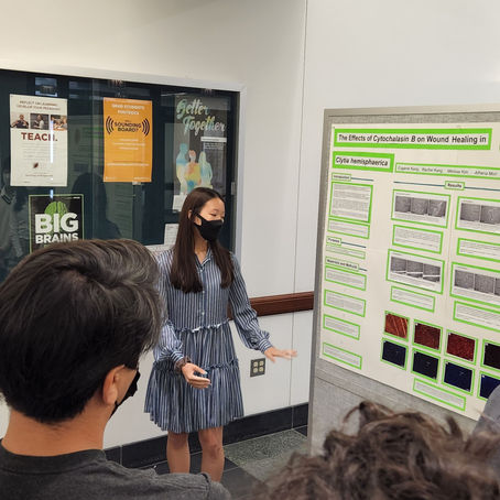 Research in the Biological Sciences (RIBS), University of Chicago, Chicago, IL, USA (2022)