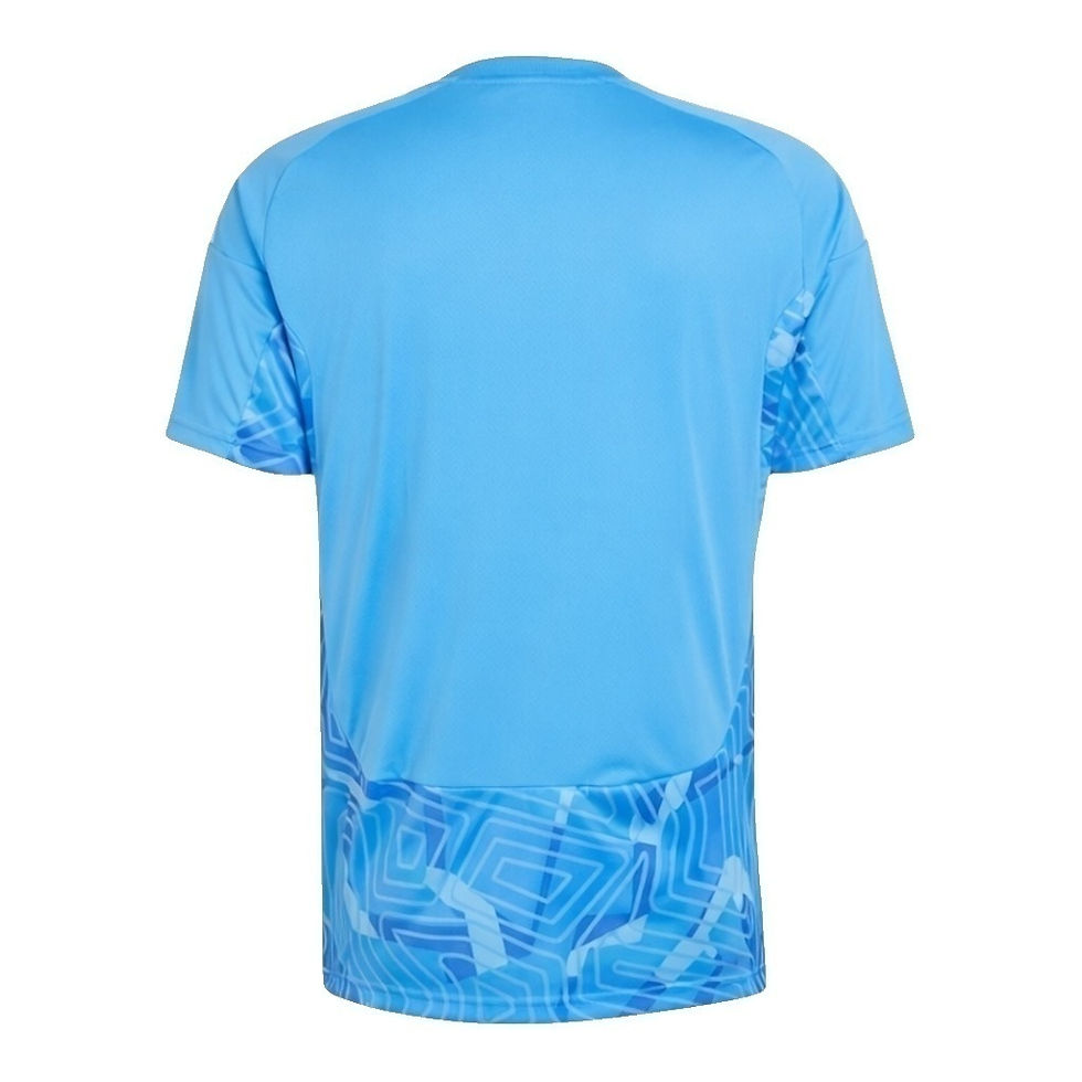 Miniatura: Camisa Seleção Argélia Goleiro II 26/27 - Torcedor Adidas Masculina - Azul