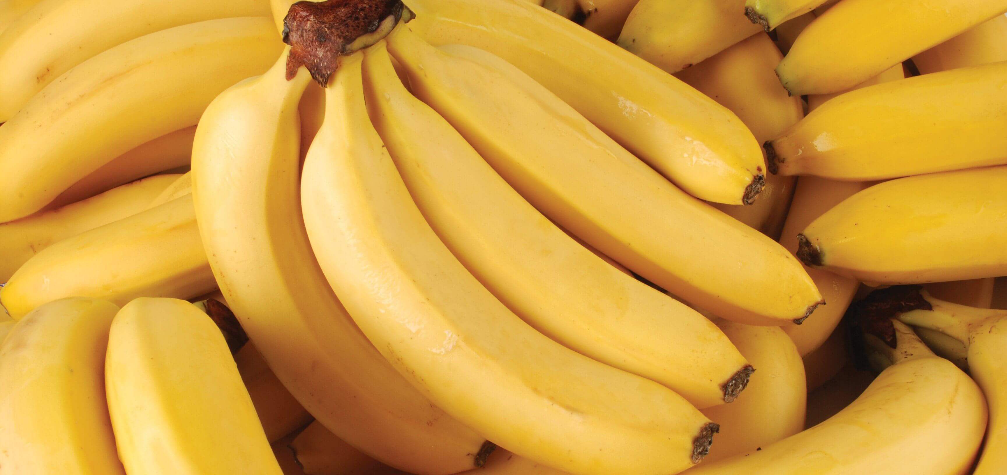 Day 6 Banana