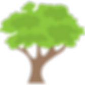 tree (2).png