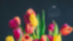 may.jpeg
