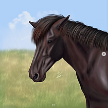 getting better drawing realistic horse portraits