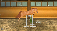 first selfdrawn horse