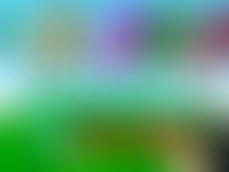 + 3.000 suscriptores en Youtube