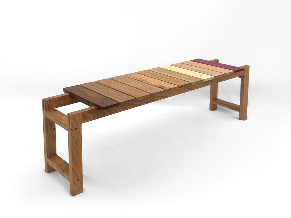 Miniatura: Banco Xilo