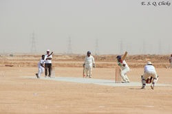 Maestro Cricket Club