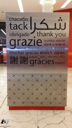 Around 10+ Languages