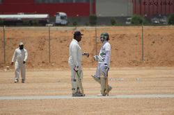 Maestro Cricket Club