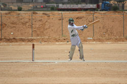 Maestro Cricket Club