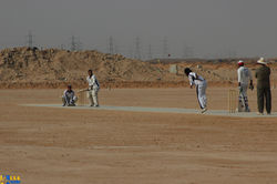 Semi Finals M. C. C. vs Black Caps