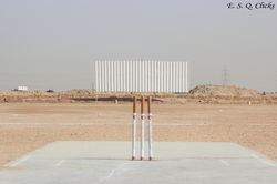 Maestro Cricket Club
