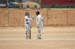 Maestro Cricket Club