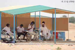Maestro Cricket Club