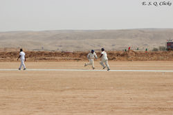 Maestro Cricket Club