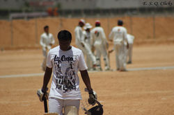 Maestro Cricket Club