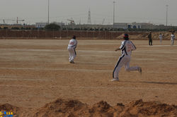 Semi Finals M. C. C. vs Black Caps