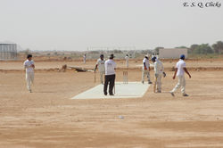 Maestro Cricket Club