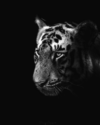 sharetalents-dhanush-kumar-359-9.jpeg