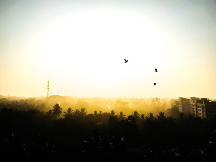 sharetalents-charitha-236-3.jpeg