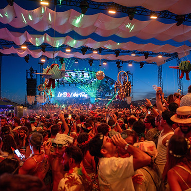 bal des fous, palais des festival , cannes