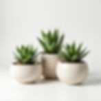 Petite Tabletop Trio