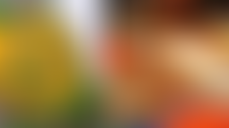 Programação dos 300 anos de 'São Gonçalo Beira Rio' é lançada nesta sexta com palestra de hi