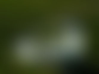 Grupo reúne consórcio para debater captação de recursos e desenvolvimento do turismo