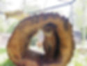 Pasíčka