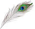 Peacock-Feather-Samadhi-Shrine-02.jpg