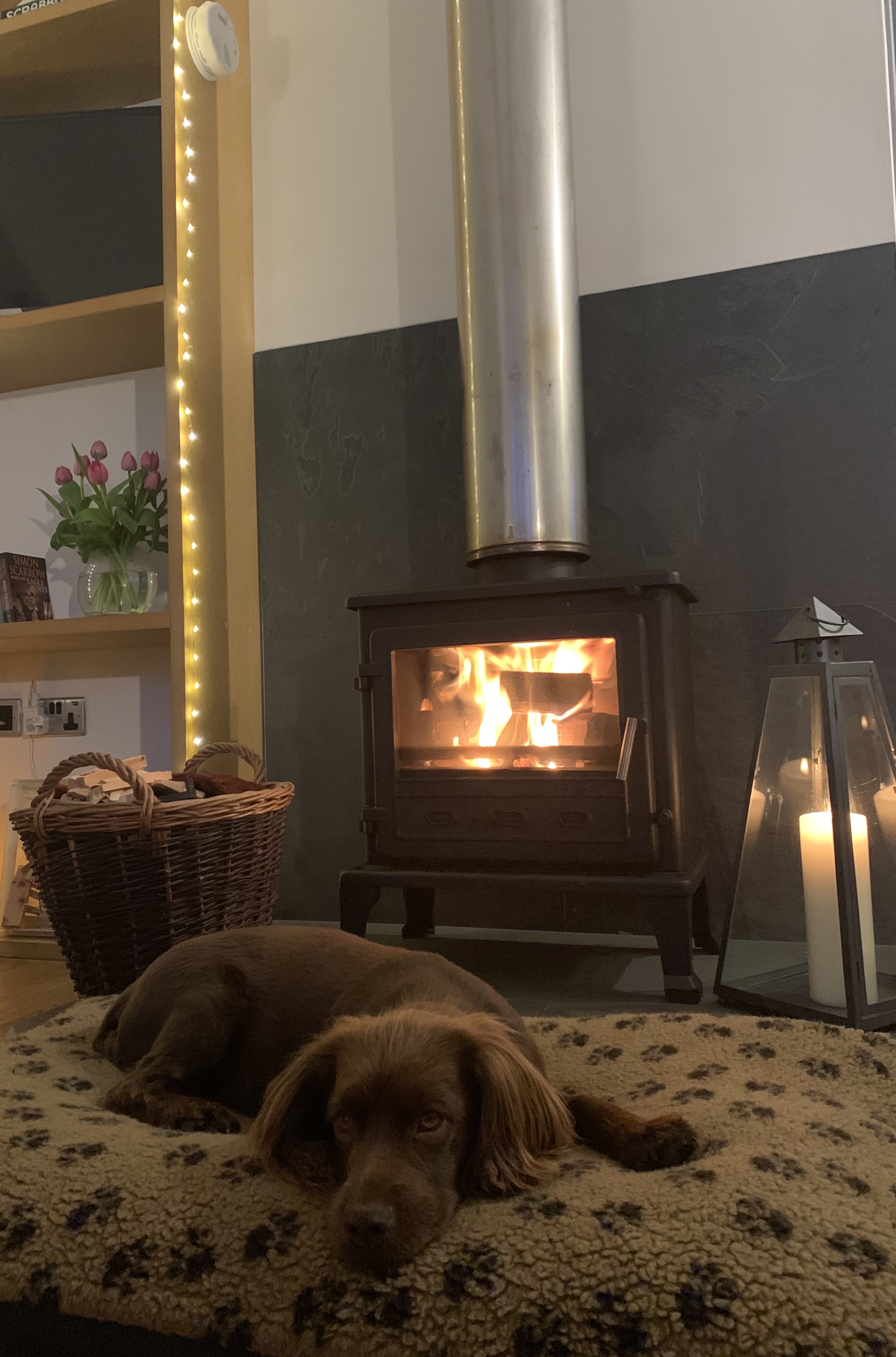 Peninnis Farm Lodges - Photo 3