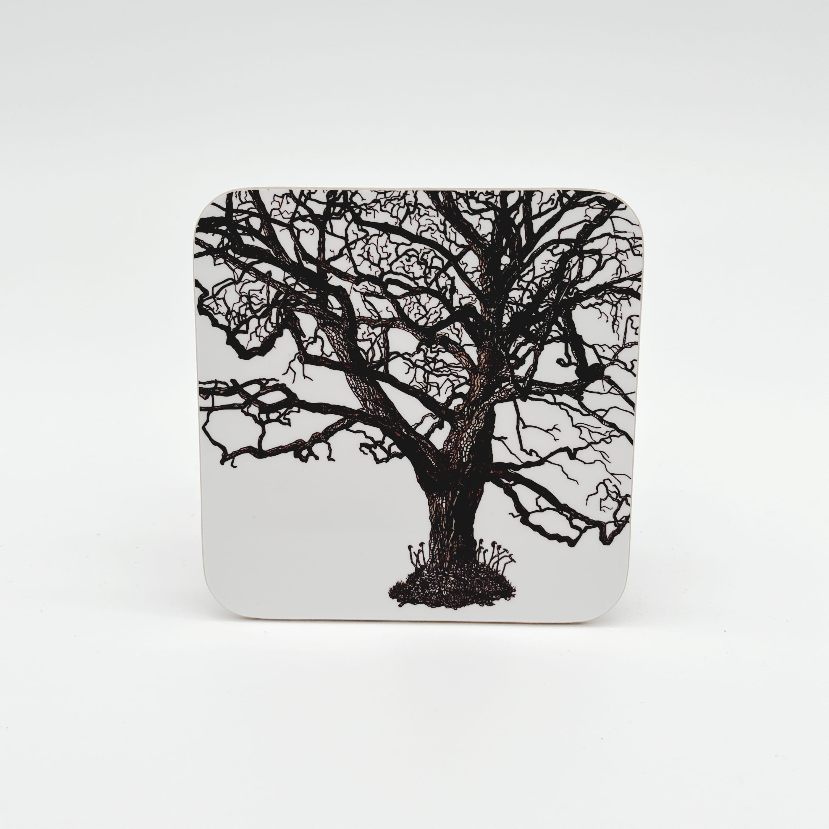 Ruskin Park Tree Coaster
