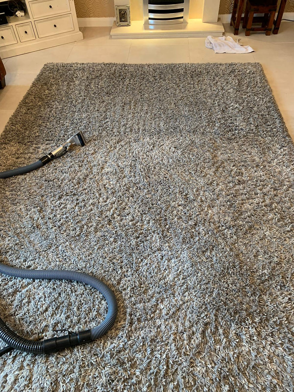 Carpet Cleaning (1)